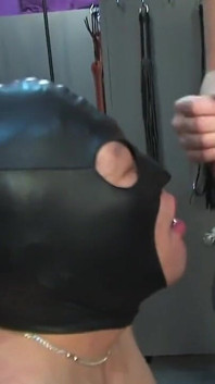 Bisex Reaction