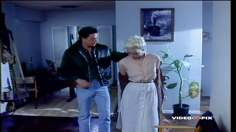 Vintage Erotic Archive: Inside Seka - 4K Restored Edition