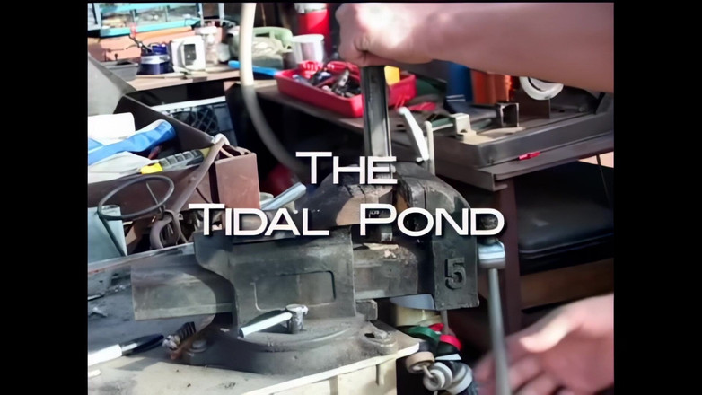 Blitzporn: Dominica Leoni: Smyslná intenzivní jízda pro mladou brunetku hledající orgasmus