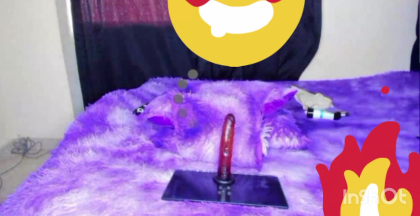 Jaky2023: मैं अपने डिल्डो की सवारी तब तक करती हूं जब तक मेरा वीर्य नहीं निकल जाता