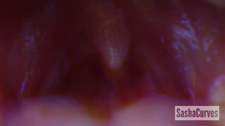 Sasha Curves: Terobsesi, terpikat, menelan pejuh