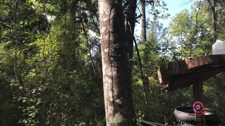 Arthur Eden aka Webcam God: Een rook en ruk met moeder natuur