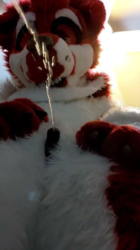 Furry in Full-body Fursuit Pisses on You, Then Cums Over Himself