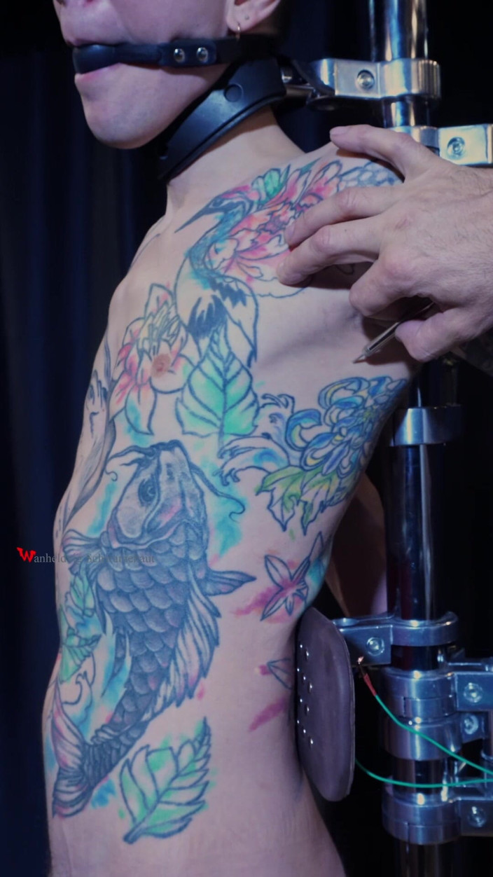 Wanheldvig: Niki електрична дослідницька кабіна: сексуальне занепокоєння, затискачі з кількома дротами та тест на користувальницький пристрій