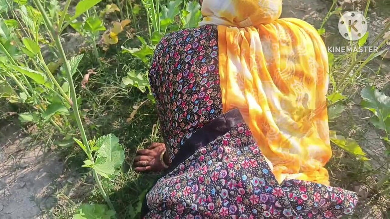 Savita5343: 村のデシ・バービーがマスタードフィールドでドギースタイルでセックス。デシ・バービーとデワーの屋外セックス