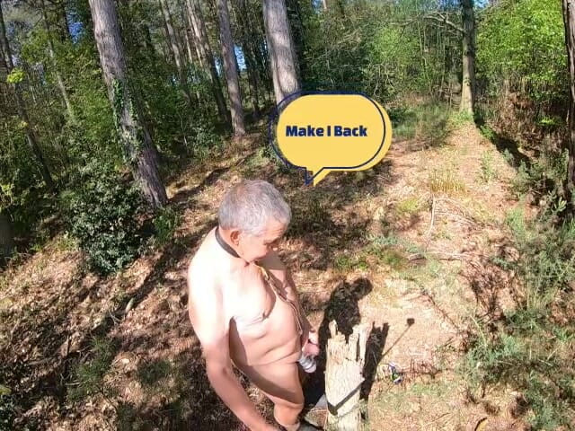 Andy: Частина 3, прогулянка 2026