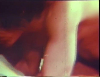 Vintage Usa: Hot vintage sex for a sexy brunette