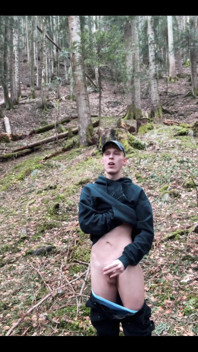 In the Forest