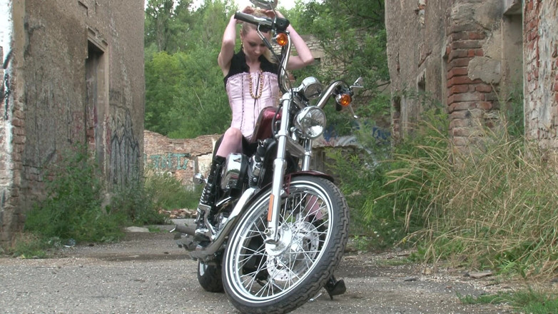 Public Entertainment: Perra en la bicicleta