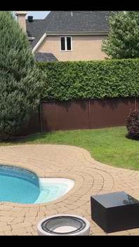 Scène de sexe avec ma voisine pendant que je bronzais dans mon jardin, je l’ai surpris