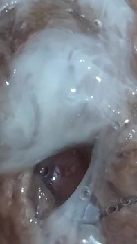 Batang creampie