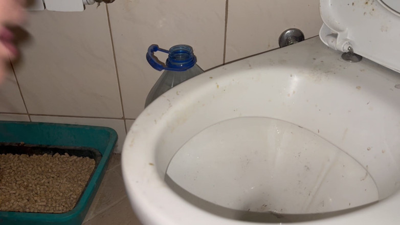 Elena917: Licking Dirty Floor and Toilet, Flashing Head in It