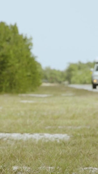 Reign Бурит Ricky Roman в лесу