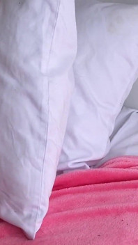 아니카 데뷔 B 캠