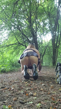 Une Salope Dans Un Bosquet (29 Juin 2025) En Recherche De Bites. Exhibition Travestie Francaise Vanessabitchx
