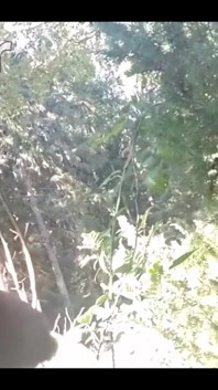 Pissing in My Backyard