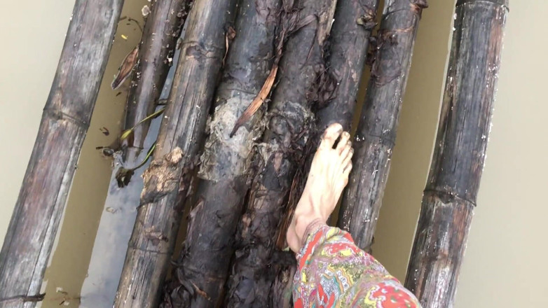 Goddess Maya: Foot Fetish Grass