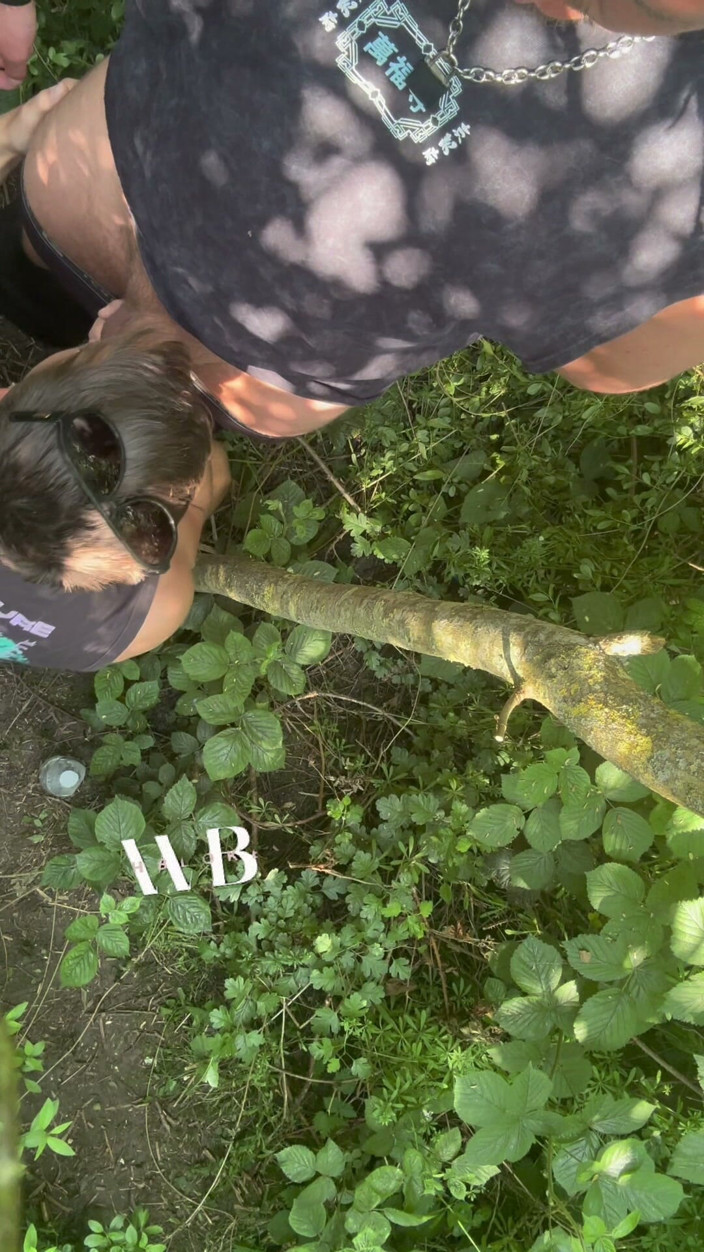 welsh_blokexxx: Cruisng Area im wald