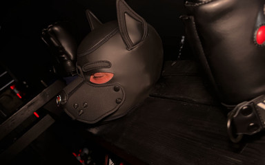 Project Y studios: Mistr žaláře - sv. 1