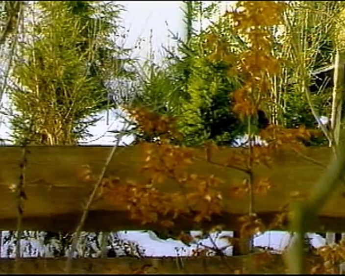 GERMAN PORN CLASSICS: Duplique o prazer