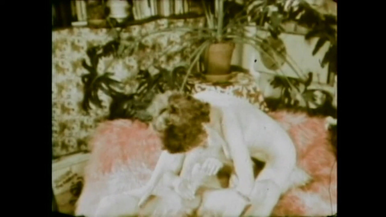 The Unforgettable: Die Magie Meines Arsches