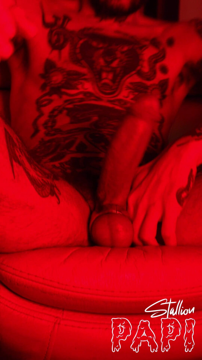 Stallion papi: Ballstretched