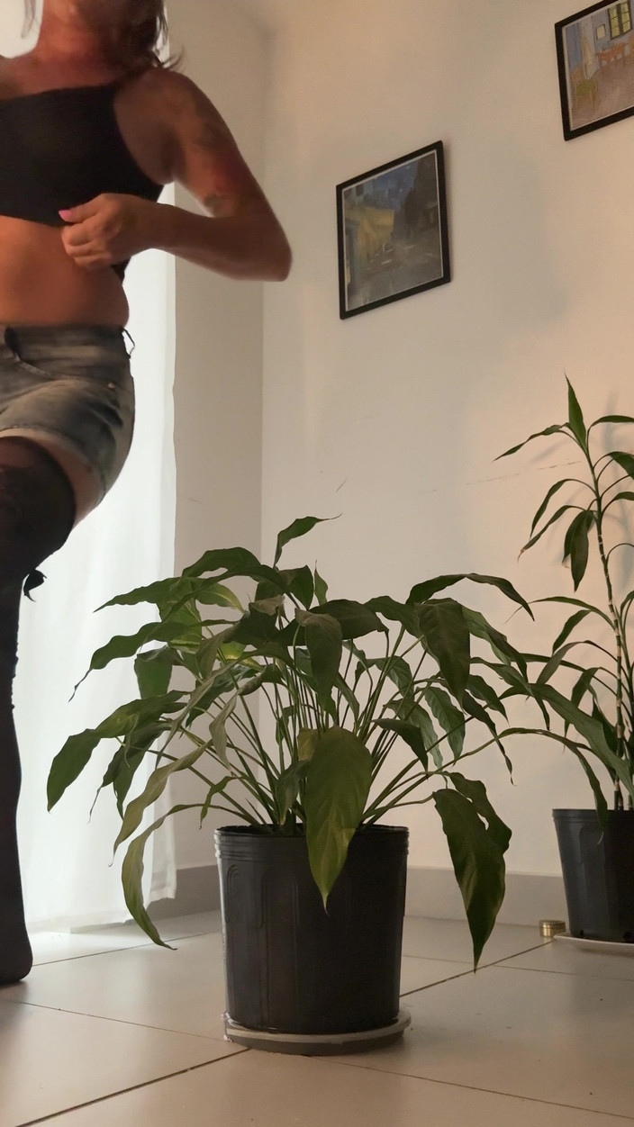 Rebeca Juicy: Kollektion 12 - Kika på blommorna av en dålig liten växt !!