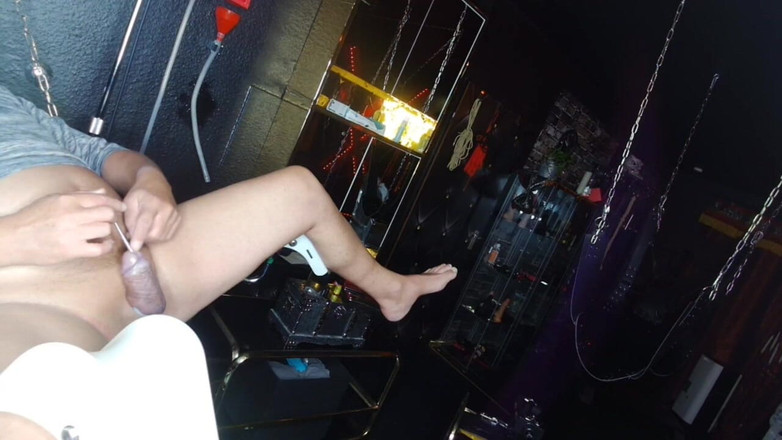 Queen_of_BDSM: Dylatory doprowadzić cię do szaleństwa!