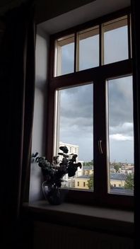Nice Day