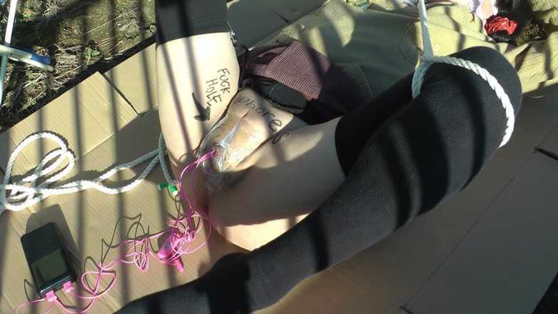 megu2002: 調教師様の調教　no88　ひっくり返ったカエルのような格好で