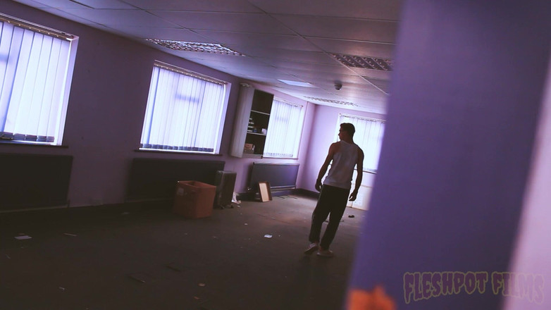 Fleshpot films: Reenemator 2