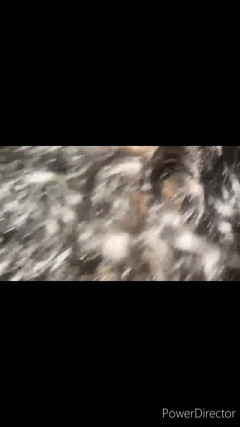 Diamond Goddess 69: Bú bbc