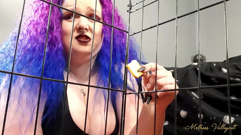 Mxtress Valleycat: Gekooide koekjes plagen