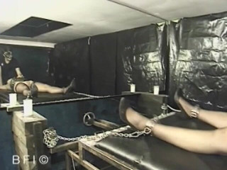 Slave Seks: Special session