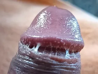 Precum Foreskinuncut