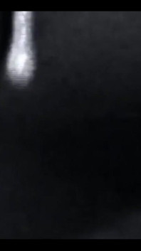 4291721065.mp4