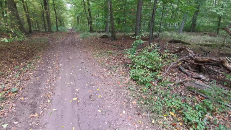Bouncy Tits Action: Pesi sui suoi capezzoli mentre nudi nel bosco
