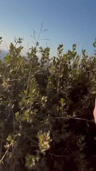 Artemisia Love Sexy Hiking by the Ocean Big Boobs Close up