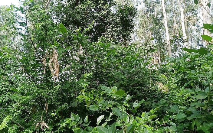 Asha Devi: Zwager nam schoonzus mee naar de jungle en neukte haar...