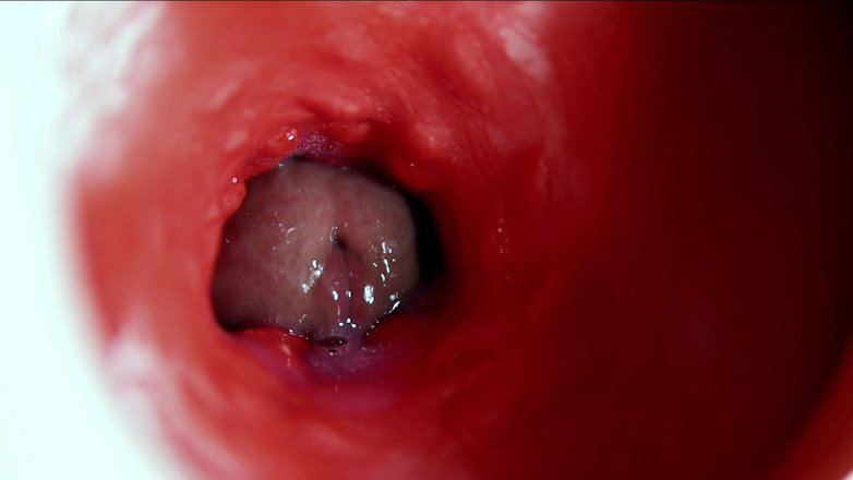 SEXY_GUYBEST: Великий красивий член рясно тече всередину мокрого слизького отвору і смокче!