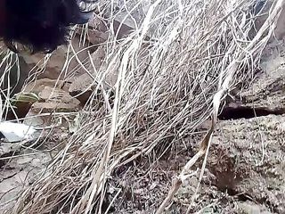 Gangbang straight: Pisse dans la nature - 1