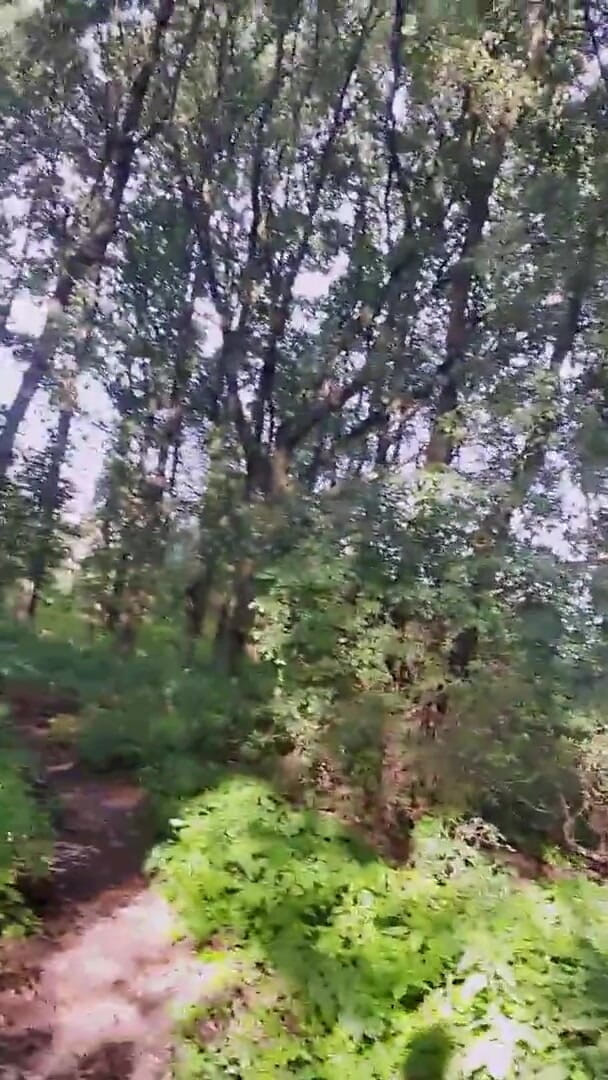 Slutboyben: Slutboyben Cam4 Seksowna ekshibicjonistka świnia mega gorąca zabawa