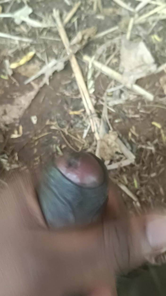 Goodboy_tamil: 太阳亲吻我的鸡巴