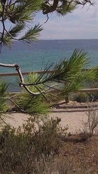 Dick Flash - I Pull Out My Cock in Front of a French Girl... Beach Path and She Helps Me Cum in Mounth Caught!!!