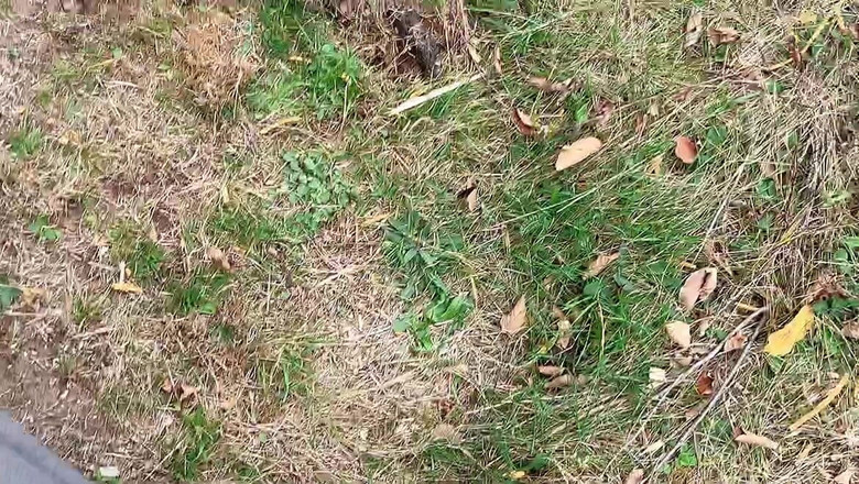 sweethanajapanese: Chcací kundička Hana Sexy na studený vzduch Nahrávejte video chcaní...