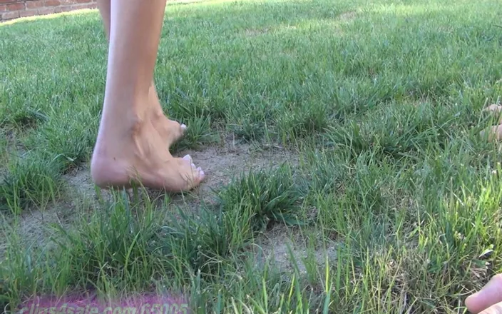 American Mean Girls: Worship My Feet You Pet