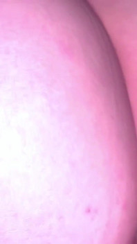 Fat Ass White Girl with a Fat Pussy Gets Creampied
