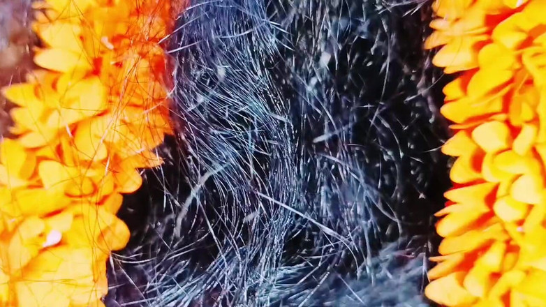 Telugu honey lips: Une belle-fille indienne se fait baiser par son beau-père, dirty...