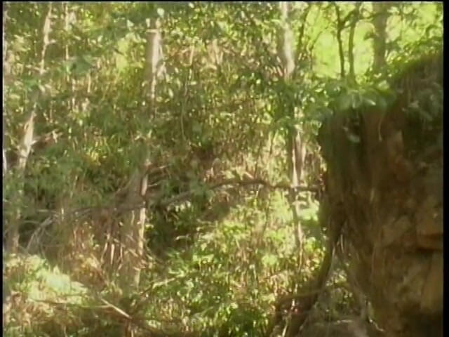 Stunning Blondes: Couple having sex in the wild