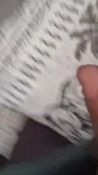 Velký penis